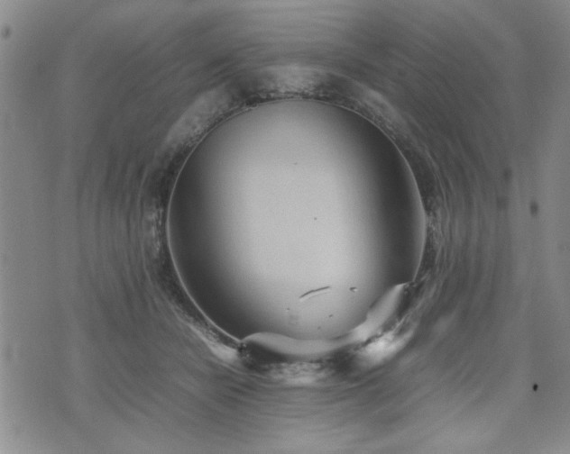 X0000074930462200609011055