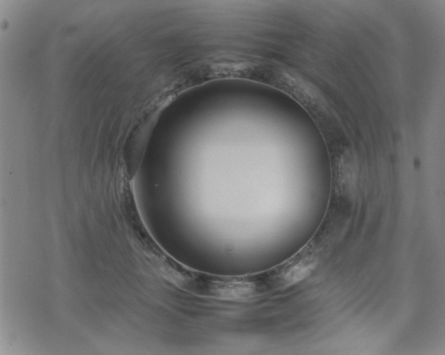 X0000074930463200609011055