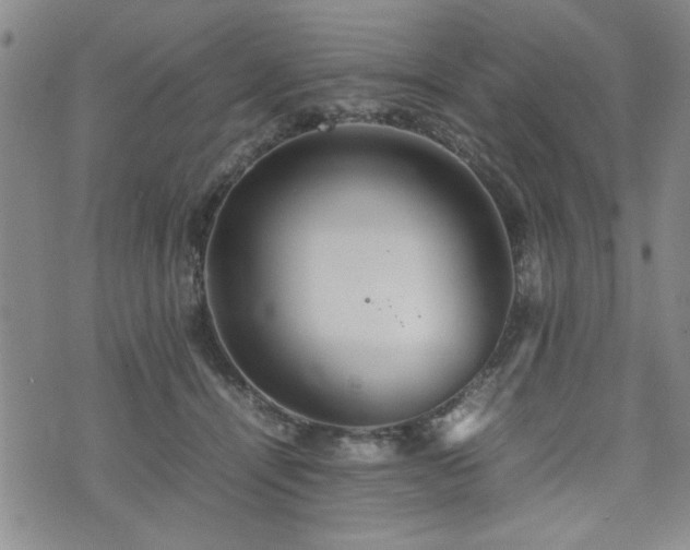 X0000074930464200609011055