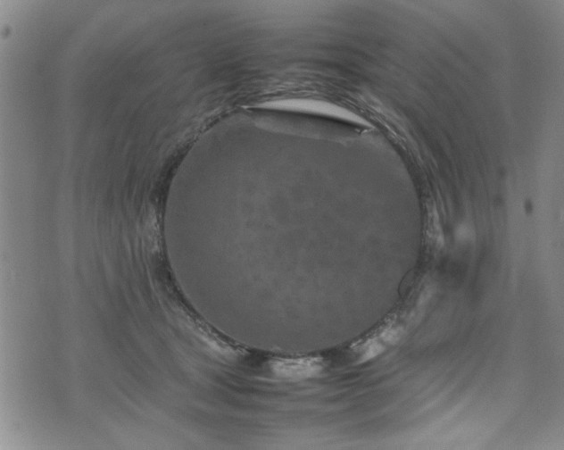 X0000074930465200609011055