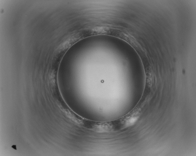 X0000074930466200609011055