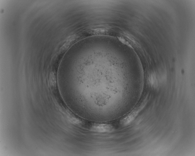 X0000074930467200609011055