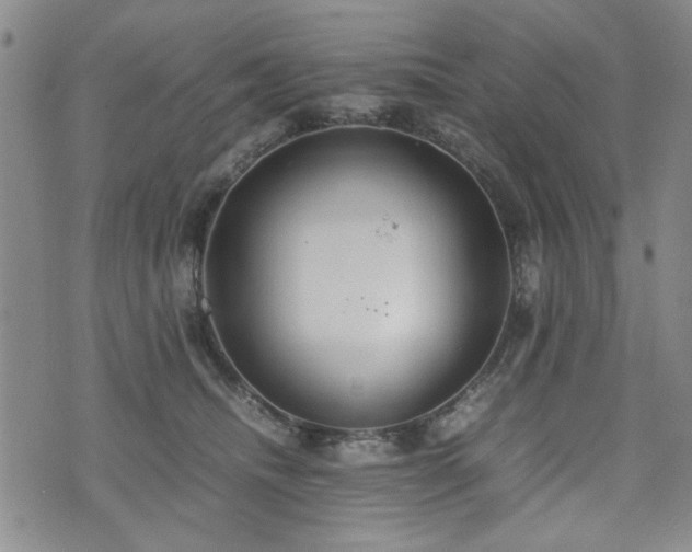 X0000074930468200609011055