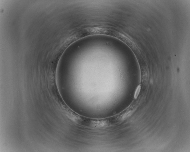 X0000074930469200609011055