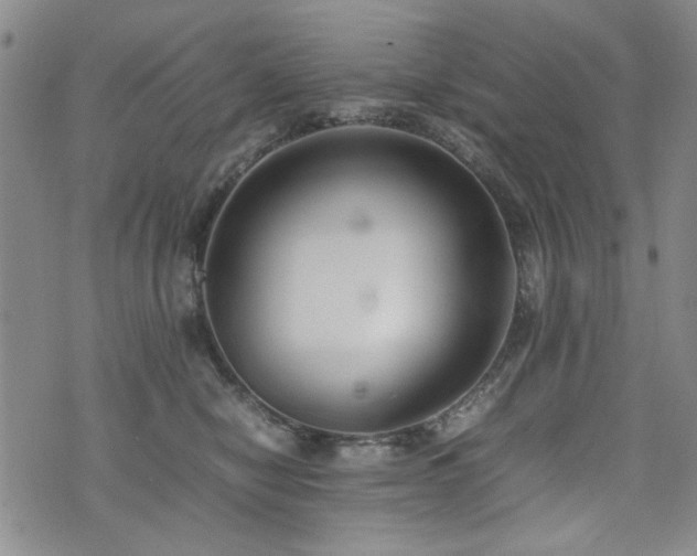 X0000074930470200609011055