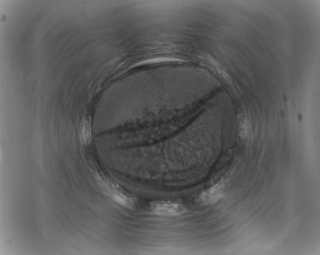 X0000074930471200609011055