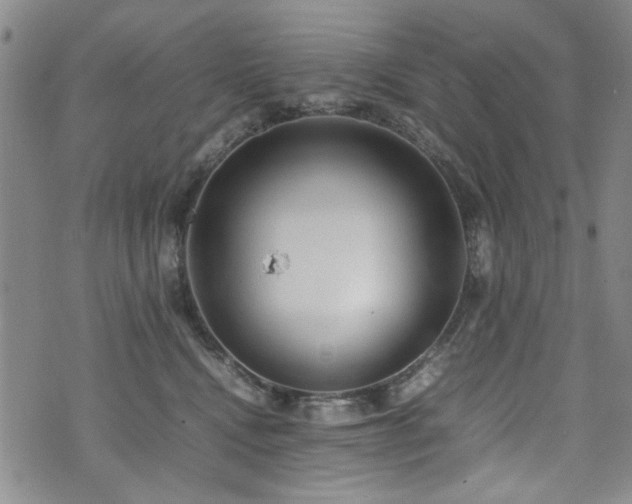 X0000074930472200609011055