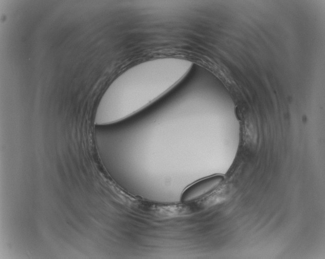 X0000074930473200609011055