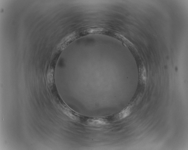 X0000074930475200609011055