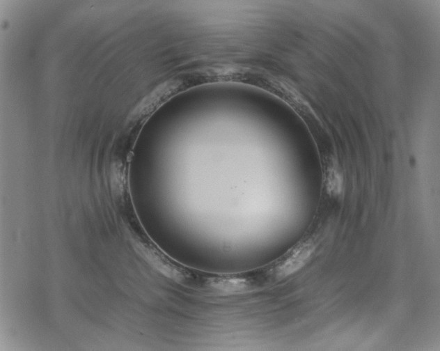 X0000074930476200609011055