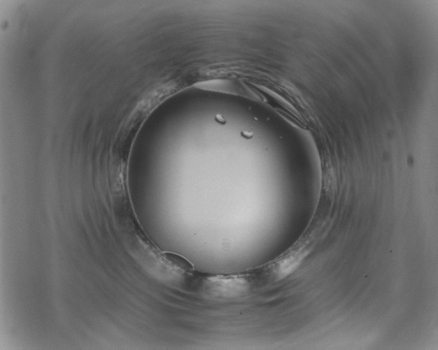 X0000074930477200609011055