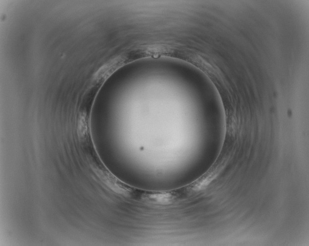 X0000074930478200609011055