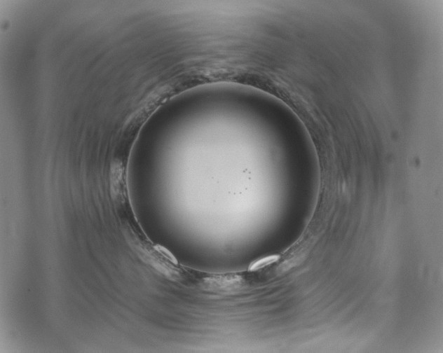 X0000074930480200609011055