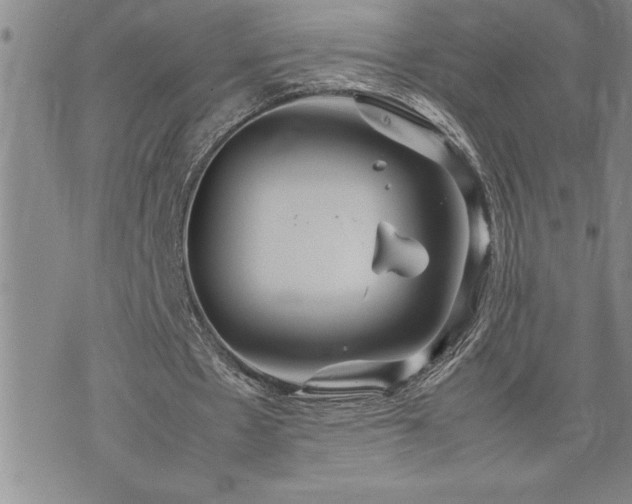 X0000074930481200609011054