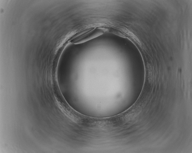 X0000074930482200609011054