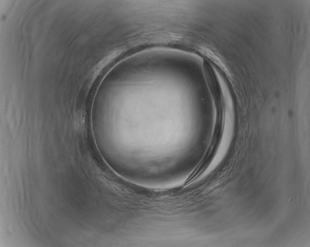 X0000074930483200609011054