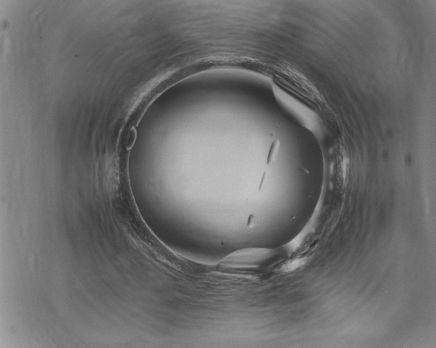 X0000074930484200609011054