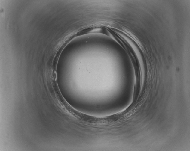 X0000074930485200609011054