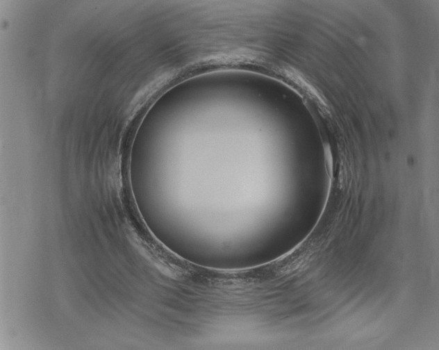 X0000074930486200609011054