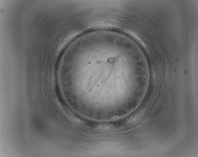 X0000074930487200609011054