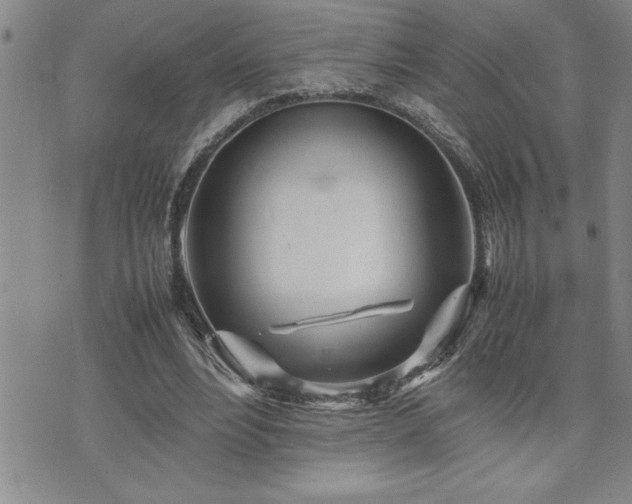 X0000074930488200609011054