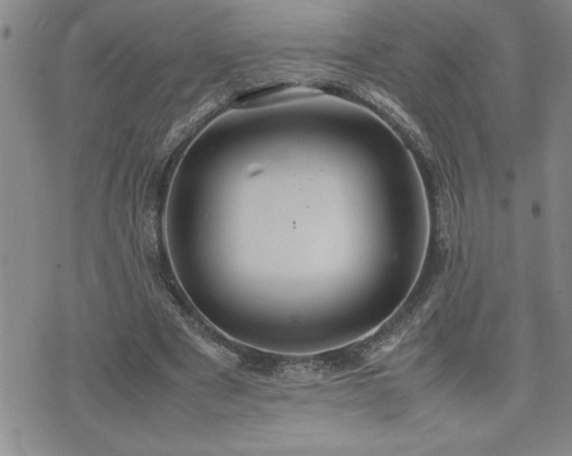 X0000074930489200609011054