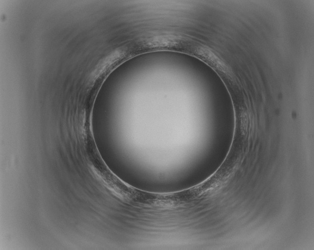 X0000074930490200609011054