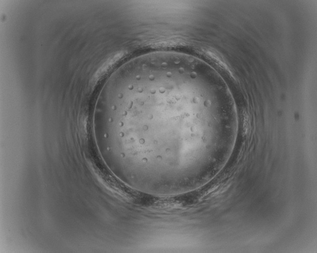 X0000074930491200609011054