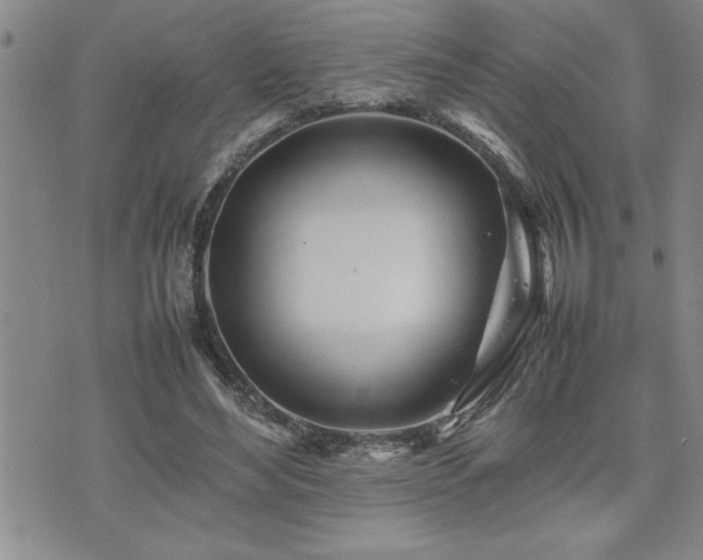 X0000074930492200609011054