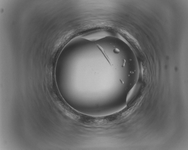 X0000074930493200609011054