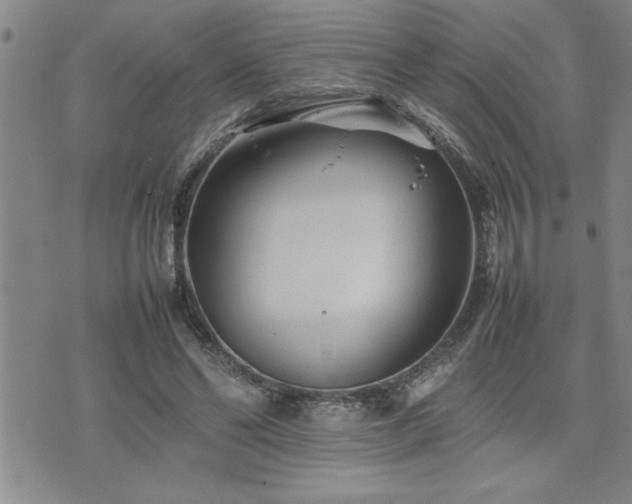 X0000074930494200609011054