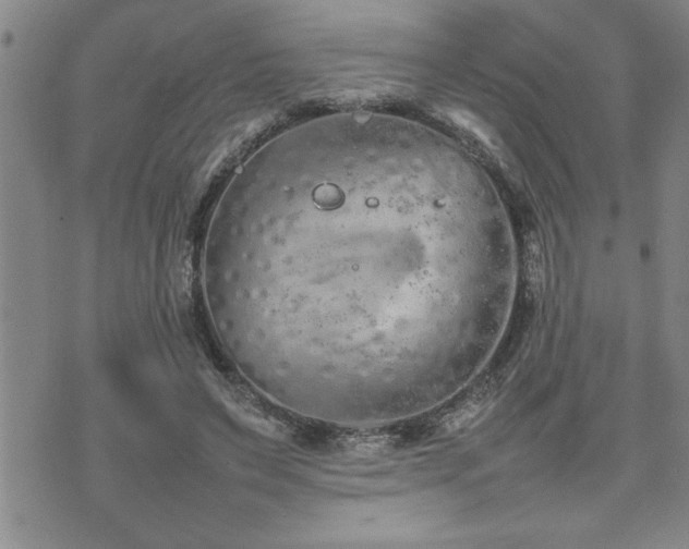 X0000074930495200609011054