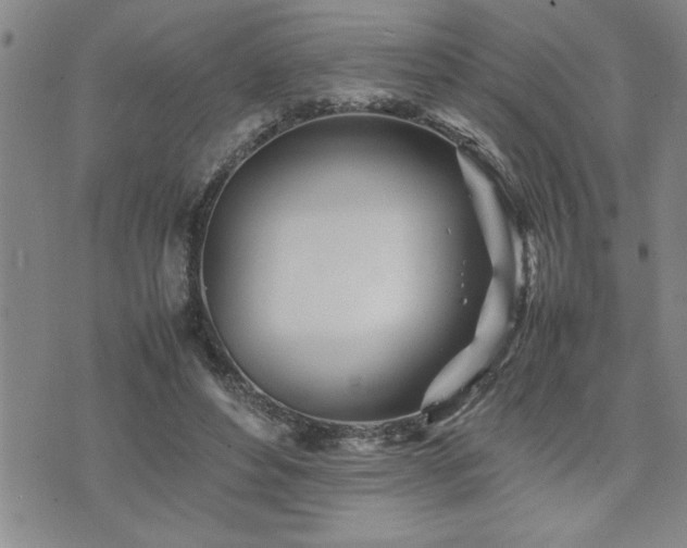 X0000074930496200609011054