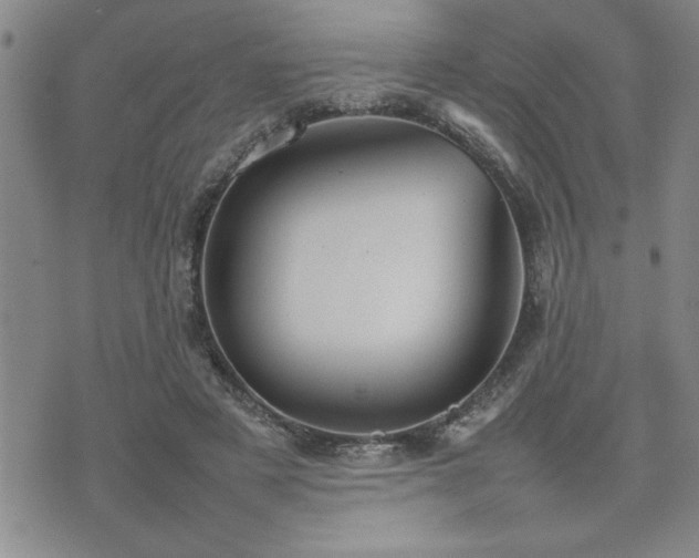 X0000074930497200609011054