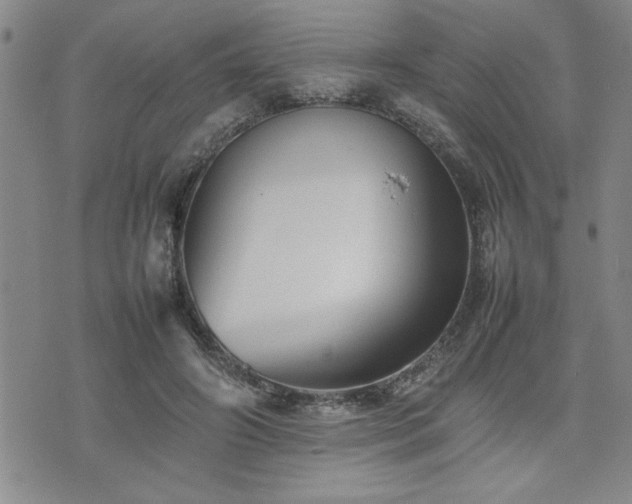 X0000074930498200609011054