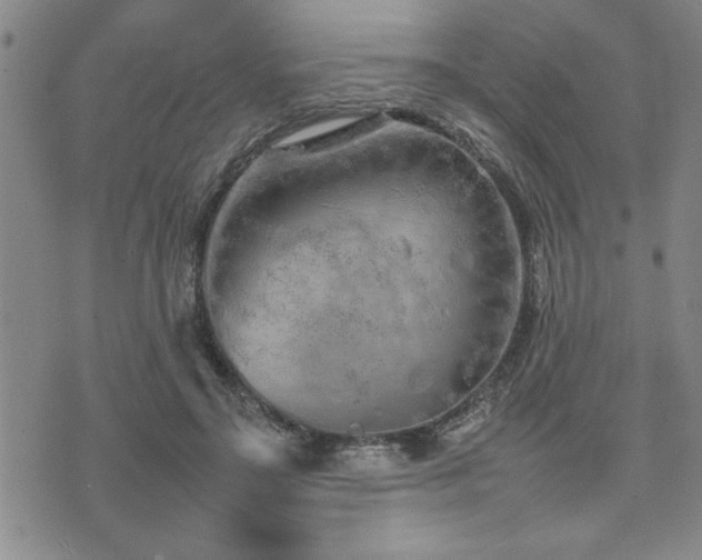 X0000074930499200609011054