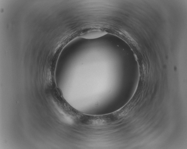 X0000074930500200609011054