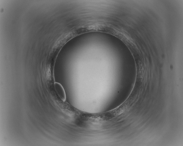 X0000074930502200609011054