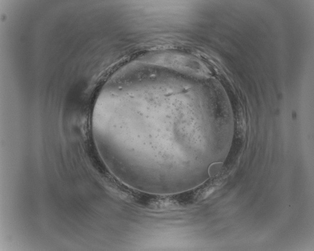 X0000074930503200609011054