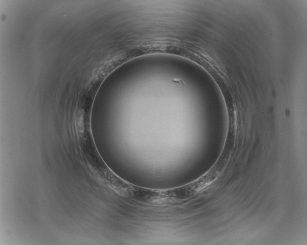 X0000074930504200609011054