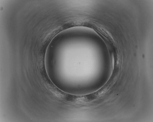 X0000074930505200609011054