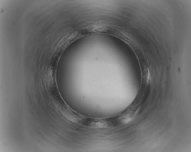 X0000074930506200609011054