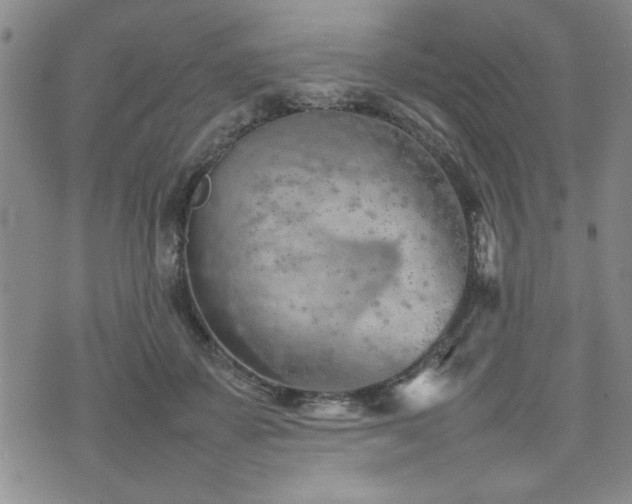 X0000074930507200609011054