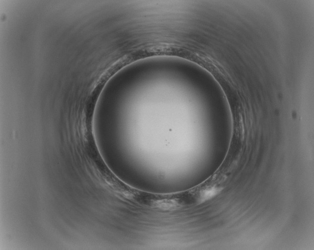 X0000074930508200609011054