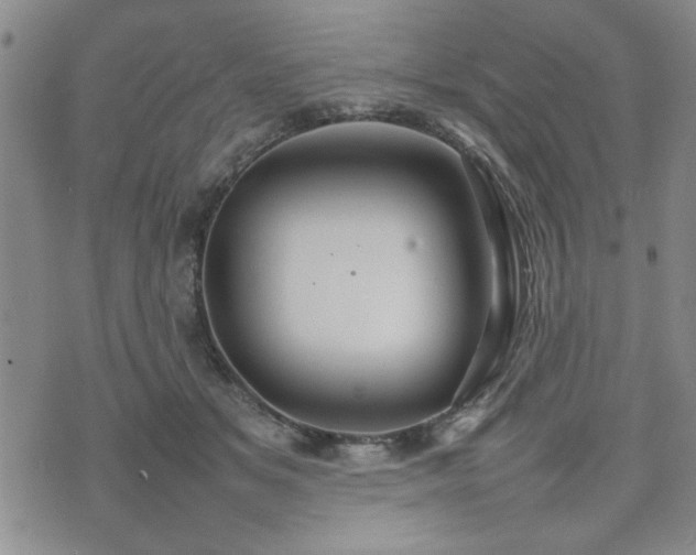 X0000074930509200609011054