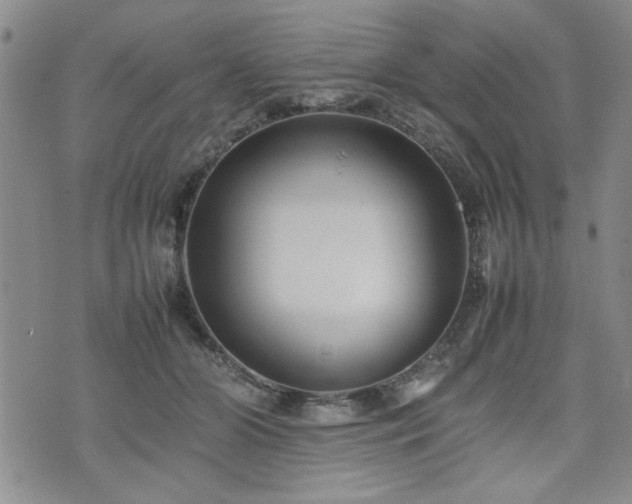 X0000074930510200609011054