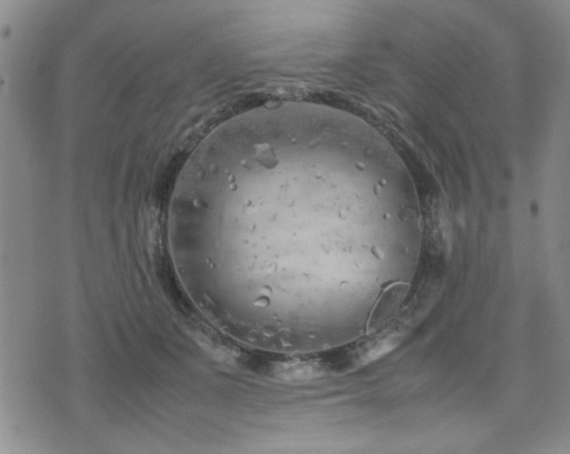 X0000074930511200609011054