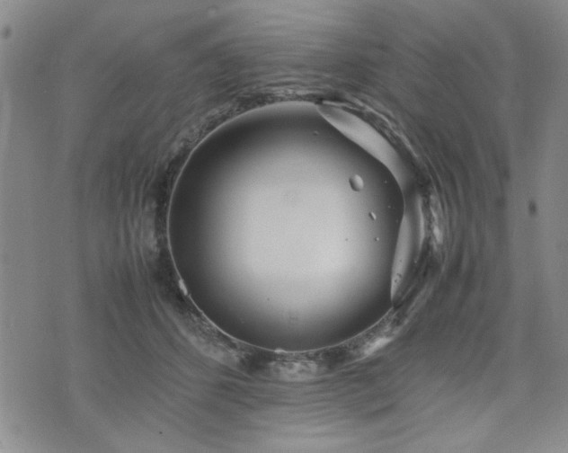 X0000074930512200609011054