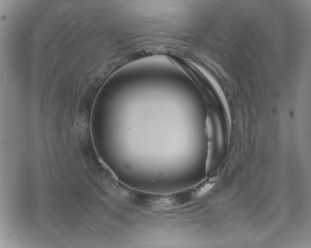 X0000074930513200609011054