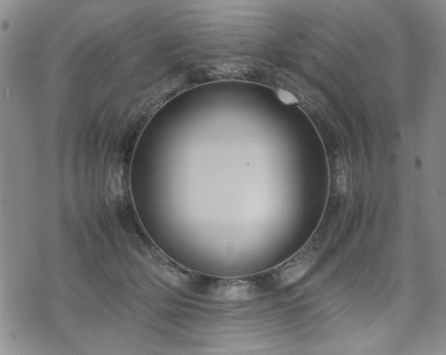 X0000074930514200609011054